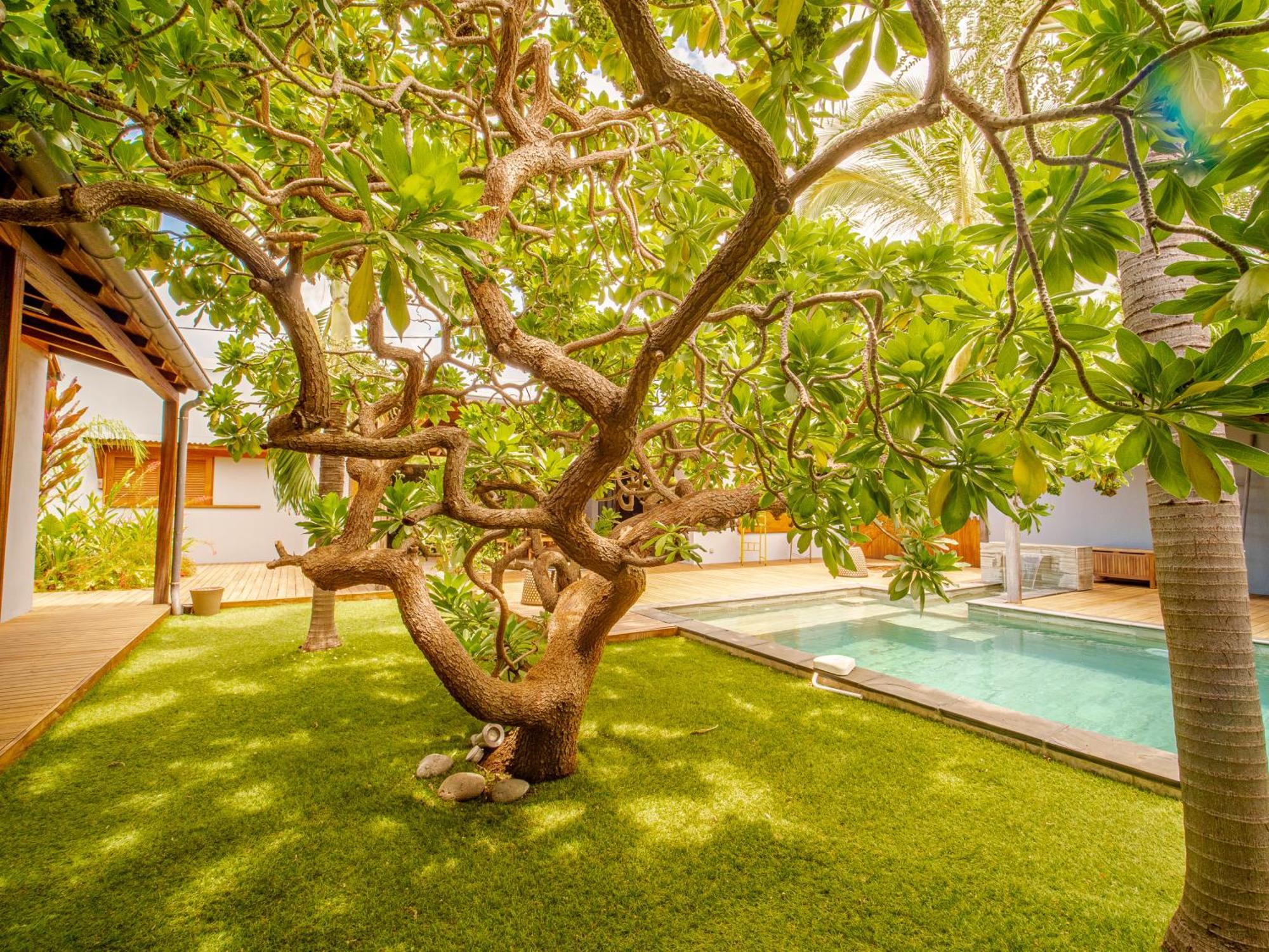 La Kaz Veloutier - Villa 4 Chambres Avec Piscine La Saline Le Bains Exteriér fotografie